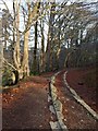 SX7878 : Haytor Granite Tramway in Yarner Wood by Derek Harper