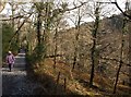 SX7878 : Yarner Wood NNR by Derek Harper