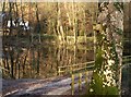 SX7878 : Nesting box with lake view, Yarner Wood by Derek Harper