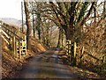 SX7878 : Lane from Yarner Wood NNR by Derek Harper