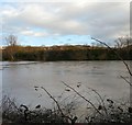 SJ9599 : Stamford Park Boating Lake by Gerald England