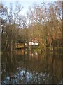 SX7878 : Pond at Yarner Wood by Derek Harper