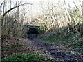 SE2904 : Eastern portal of the eastern tunnel by Christine Johnstone