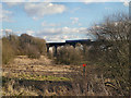 SJ5694 : Sankey Viaduct by David Dixon