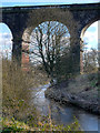 SJ5694 : Viaduct over Sankey Brook by David Dixon