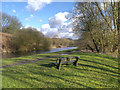 SJ5794 : The Sankey Canal, Mucky Mountains by David Dixon