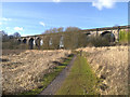 SJ5694 : Nine Arches Viaduct by David Dixon