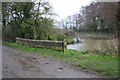 SU4596 : Bridge over stream in flood, Mill Road by Roger Templeman