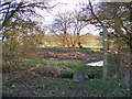 TM4262 : Footpath to the B1119 Saxmundham Road by Geographer