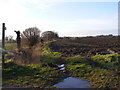 TM4262 : Footpath to the B1119 Saxmundham Road by Geographer