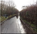 ST2784 : Flooded Church Lane, Coedkernew by Jaggery