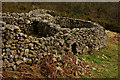 NY1701 : Sheepfold at Boot, Cumbria by Peter Trimming