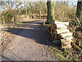 TQ5156 : Path at Sevenoaks Wildlife Reserve by Marathon