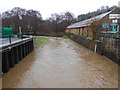 SY4693 : River Brit in spate by Nigel Mykura