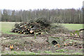 SK5029 : A pile of trees by Alan Murray-Rust