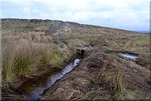  : Blubberhouses Moor by John Sparshatt