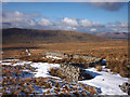 SD6883 : The boundary ducks and dives at Top of Low Stools by Karl and Ali