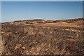 NR2462 : Burnt heather behind Sunderland Hill, Islay by Becky Williamson