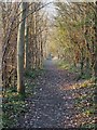 SP9312 : Grand Union Canal Walk off Marshcroft Lane by Rob Farrow