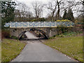 SD9303 : Lovers' Walk and the Rustic Bridge, Alexandra Park by David Dixon