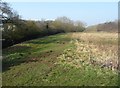 SP5528 : Riverside walk, rear of Cherwell Valley Services by Christine Johnstone