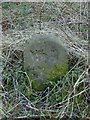 NS3974 : Dumbarton Rock: War Department boundary stone no. 4 by Lairich Rig