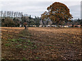 SU1561 : Path across field at Sunnyhill by Gillie Rhodes