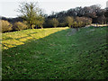 SU1364 : Earthworks on the edge of Gopher Wood by Gillie Rhodes