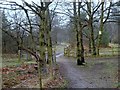 SK6670 : Walesby Forest footpath by Andrew Hill