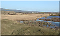 SS7883 : Reedbed by the Afon Cynffig by eswales