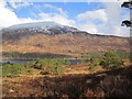 NH1621 : Pine forest, Glen Affric by Richard Webb