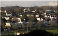 SX9065 : Leafy suburbia, Torquay by Derek Harper