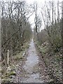 NY2129 : The permissive path beside the A66 by David Purchase