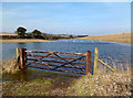 SU3976 : New Lake For The Gulls by Des Blenkinsopp