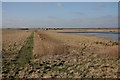 TL2284 : Middle Farm, Great Fen project by Hugh Venables