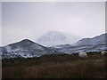 SH6713 : View to Tyrrau Mawr by liz dawson