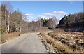 NH4760 : Forest track, near Achterneed by Craig Wallace