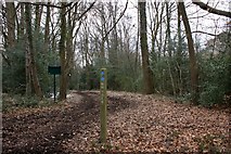  : Eastern entrance to Chipperfield Common by Simon Mortimer