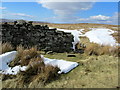 SD9738 : Stone Wall on Old Bess Hill by Chris Heaton