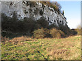 TQ6078 : Chalk Cliff, Chafford Gorge by Roger Jones