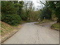 NZ9402 : Bridge Holme Lane from the old railway trail by SMJ