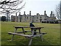 SP9292 : Picnicking peacock at Kirby Hall, Northamptonshire by Richard Humphrey