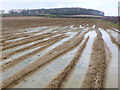 ST7315 : Waterlogged Fields at Cook's Lane Wood by Nigel Mykura