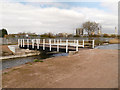 SJ5285 : Sankey Canal, Carter House Bridge by David Dixon