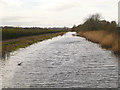 SJ5285 : Sankey Canal, Looking Eastwards from Carter House Bridge by David Dixon