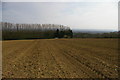 TQ6652 : Looking south from St Michael's, East Peckham by Christopher Hilton