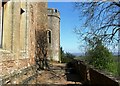 SS9943 : Ramparts, Dunster Castle by nick macneill