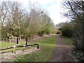 SJ7254 : Footpath alongside Springfield Copse by Christine Johnstone