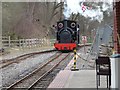 SJ8248 : Stanhope, Apedale Valley Light Railway by Christine Johnstone