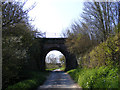 TM3974 : Railway Bridge on Edwards Lane by Geographer